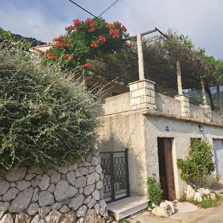 Guest House Tanja Babino Polje Exterior foto