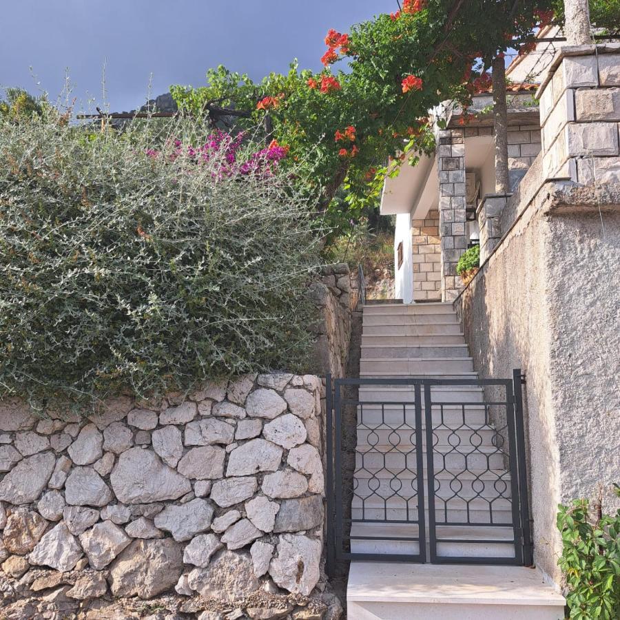 Guest House Tanja Babino Polje Exterior foto